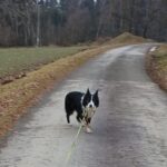 Heddy – fotografie 31