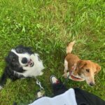 Heddy – fotografie 8