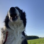 Heddy – fotografie 9