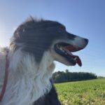 Heddy – fotografie 10