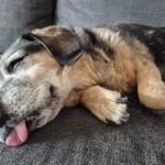 Maxym – fotografie 35