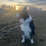 Heddy – fotografie 32