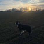 Heddy – fotografie 33