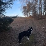 Heddy – fotografie 34