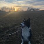 Heddy – fotografie 36