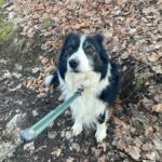 Heddy – fotografie 35