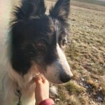 Heddy – fotografie 37