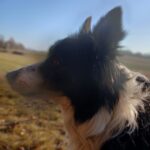 Heddy – fotografie 38