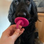 Ludánek – fotografie 23