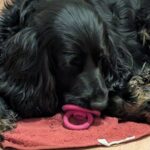 Ludánek – fotografie 24