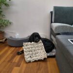 Ludánek – fotografie 25