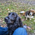 Ludánek – fotografie 26