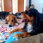 Shy – fotografie 40