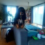 Shy – fotografie 41