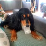Shy – fotografie 42
