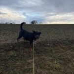 Bursy – fotografie 9