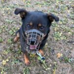 Bursy – fotografie 10