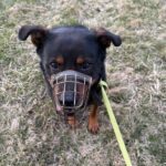 Bursy – fotografie 7