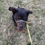 Bursy – fotografie 8