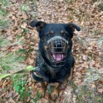 Bursy – fotografie 4