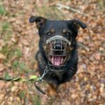 Bursy – fotografie 3