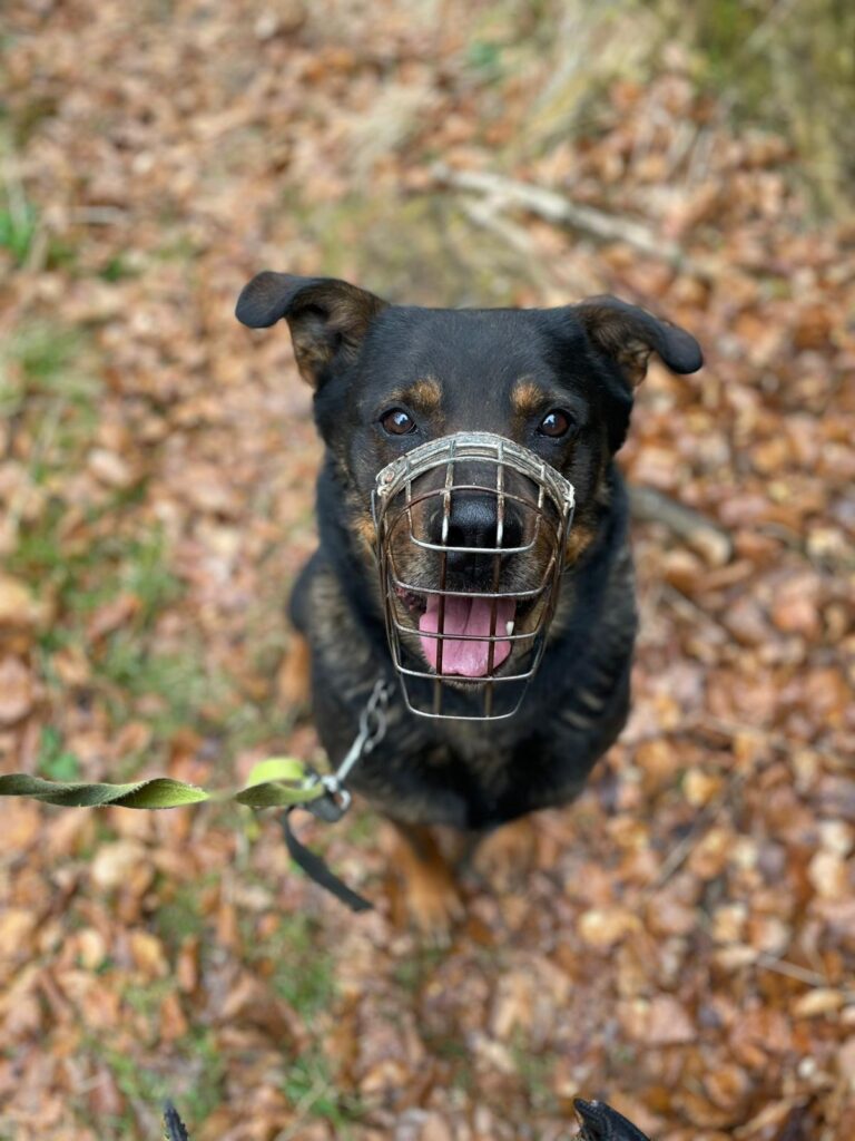 Bursy – fotografie 2