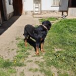 Gord – fotografie 24