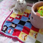 Albert – fotografie 19