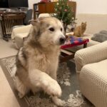 Simon – fotografie 45