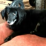 Vláďa – fotografie 37