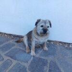 Greg – fotografie 30