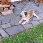 Greg – fotografie 31