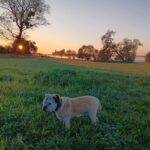 Greg – fotografie 32