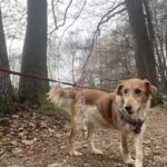 Sindy – fotografie 17