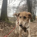 Sindy – fotografie 18