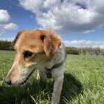 Sindy – fotografie 8