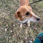 Sindy – fotografie 27