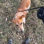 Sindy – fotografie 28