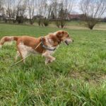 Sindy – fotografie 10