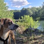 Rowlie – fotografie 29