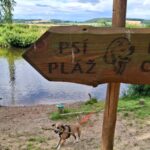Rowlie – fotografie 31