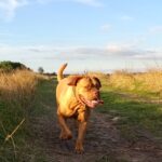 Alžběta – fotografie 23