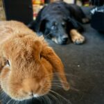 Jessica – fotografie 51