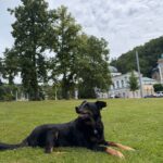Jessica – fotografie 48
