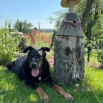 Jessica – fotografie 49