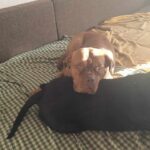 Magdalena – fotografie 7