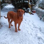 Magdalena – fotografie 14