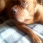 Magdalena – fotografie 15