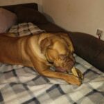 Magdalena – fotografie 8