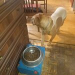 Magdalena – fotografie 9